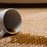 waverley stain removal