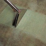 carpet cleaning CABRAMATTA WEST