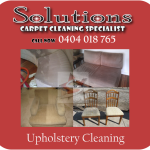 CARPET CLEANING BOSSLEY PARK